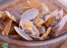 花甲怎么養(yǎng)不會(huì)死？花甲怎么養(yǎng)到用第二天？