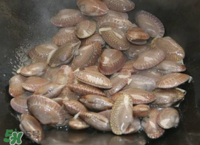 花甲不開口怎么辦？怎么讓花甲開口？