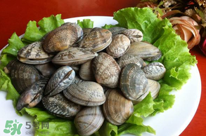 花甲不開口怎么辦？怎么讓花甲開口？