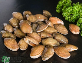 花甲為什么會(huì)苦？花甲有苦味什么原因？