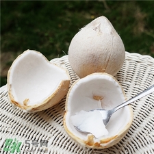 青椰子肉能吃嗎?青椰子肉怎么吃? 青椰子肉能吃嗎?青椰子肉怎么吃?