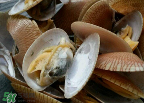 花甲怎么洗才沒(méi)沙？花甲怎么洗才干凈？