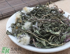 婆婆丁有毒嗎?婆婆丁有副作用嗎? 婆婆丁有毒嗎?婆婆丁有副作用嗎?