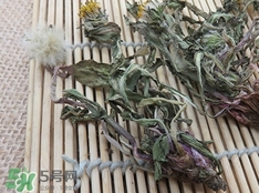 婆婆丁有毒嗎?婆婆丁有副作用嗎? 婆婆丁有毒嗎?婆婆丁有副作用嗎?