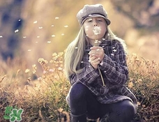 婆婆丁是涼性的嗎?婆婆丁是寒性的嗎? 婆婆丁是涼性的嗎?婆婆丁是寒性的嗎?