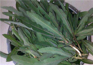 曲曲菜和花菜相克嗎？曲曲菜不能和花菜一起吃嗎？