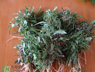 曲曲菜是苦菜嗎？曲曲菜和苦菜有什么區(qū)別？