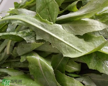 曲曲菜能炒雞蛋吃嗎？曲曲菜可以炒雞蛋嗎？