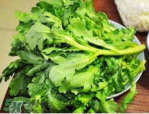 茼蒿要焯水嗎？炒茼蒿用焯水嗎