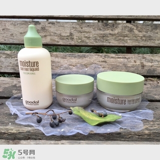 goodal果達(dá)兒是什么牌子？果達(dá)兒在韓國什么檔次