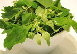 灰灰菜怎么吃？灰灰菜的吃法