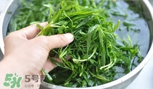 掃帚菜怎么做好吃？掃帚菜怎么吃好吃