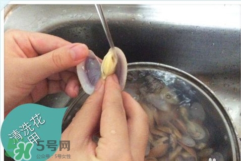 芒果螺怎么清洗？芒果螺怎么吃