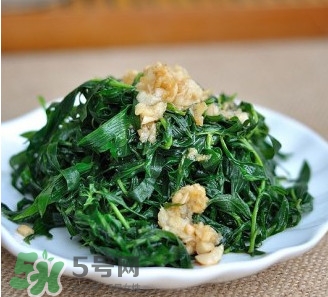 掃帚菜怎么做好吃？掃帚菜怎么吃好吃