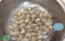 芒果螺怎么清洗？芒果螺怎么吃