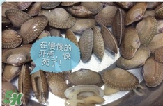 芒果螺怎么清洗？芒果螺怎么吃