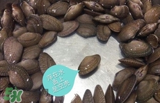 芒果螺怎么清洗？芒果螺怎么吃