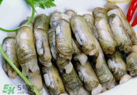 蟶子不能和什么一起吃？蟶子和什么不能一起吃？