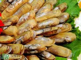 蟶子不能和什么一起吃？蟶子和什么不能一起吃？