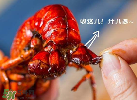 吃油燜大蝦會(huì)胖嗎？油燜大蝦的熱量是多少？