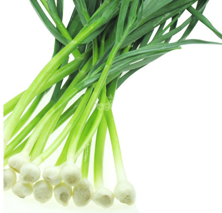 蒜苗是辛辣食物嗎？蒜苗屬于辛辣食物嗎