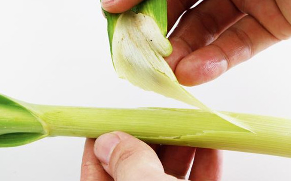 蒜苗怎么摘？蒜苗怎么處理