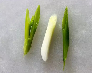蒜苗怎么切？蒜苗如何切