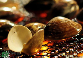 花甲不開口能吃嗎？花甲不開口是不是死了？