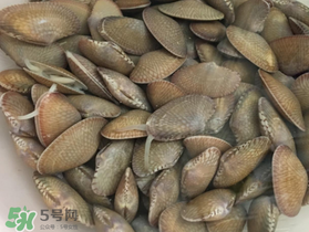 如何辨別花甲的死活？怎么辨別花甲的死活？