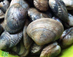 如何辨別花甲的死活？怎么辨別花甲的死活？