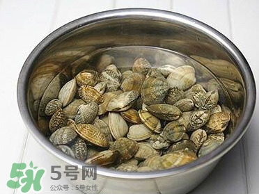 芒果螺孕婦能吃嗎？芒果螺孕婦可以吃嗎