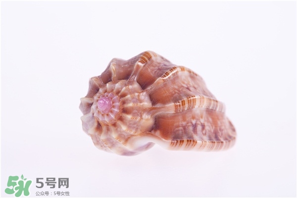 海螺的尾部能吃嗎？海螺的尾巴可以吃嗎