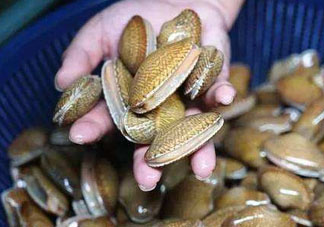 花甲張開(kāi)是不是死了？花甲開(kāi)口是不是死了？