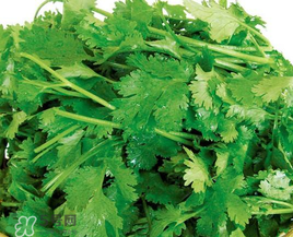 四月份可以種香菜嗎？四月份還能種香萊嗎？