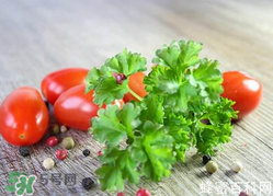 四月份可以種香菜嗎？四月份還能種香萊嗎？