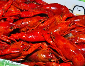龍蝦為什么變紅？為什么龍蝦煮熟后會(huì)變紅？