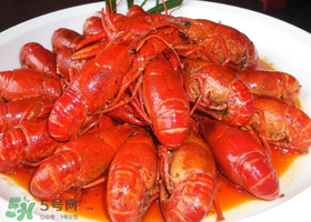 小龍蝦為什么那么貴？小龍蝦怎么這么貴？