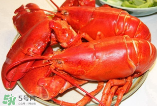 龍蝦怎么保存不會死？龍蝦怎么保存才新鮮？