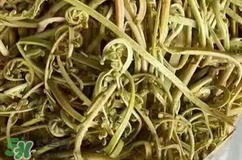 蕨菜要泡多久?蕨菜要泡多長(zhǎng)時(shí)間? 蕨菜要泡多久?蕨菜要泡多長(zhǎng)時(shí)間?