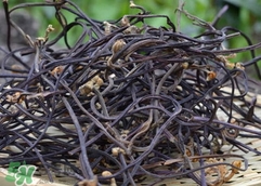 蕨菜要泡多久?蕨菜要泡多長(zhǎng)時(shí)間? 蕨菜要泡多久?蕨菜要泡多長(zhǎng)時(shí)間?