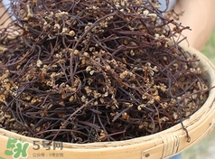 蕨菜要剝皮嗎?蕨菜要撕皮嗎? 蕨菜要剝皮嗎?蕨菜要撕皮嗎?