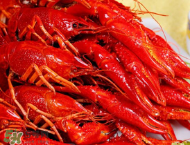 龍蝦發(fā)苦怎么回事？龍蝦發(fā)苦能吃嗎？