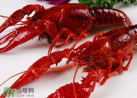 龍蝦發(fā)苦怎么回事？龍蝦發(fā)苦能吃嗎？
