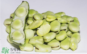 蠶豆為什么小孩不能吃？小孩為什么不能吃蠶豆？