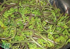 蕨菜干的營(yíng)養(yǎng)價(jià)值_蕨菜干的功效與作用及食用方法 蕨菜干的營(yíng)養(yǎng)價(jià)值_蕨菜干的功效與作用及食用方法
