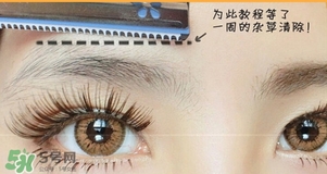 貝印修眉刀紅色和藍色那個好？貝印修眉刀紅色和藍色區(qū)別