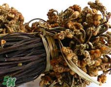 蕨菜干不能和什么一起吃?蕨菜干食用禁忌 蕨菜干不能和什么一起吃?蕨菜干食用禁忌