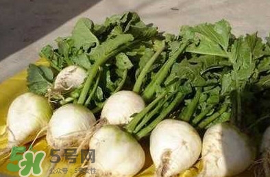 芥菜絲怎么腌制？芥菜絲的腌制方法大全