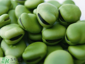 蠶豆發(fā)芽能吃嗎？蠶豆長(zhǎng)芽了還能吃嗎？