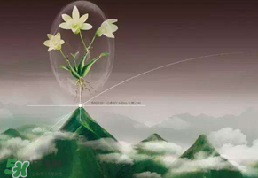 九毒日是哪幾天？2017年九毒日是哪幾天？